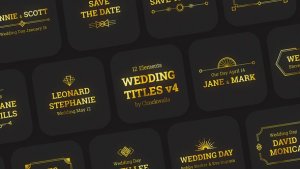 Videohive Wedding Titles v4 Titles template preview