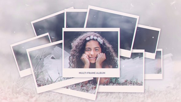 Videohive Multi Frame Photo Gallery Openers template preview
