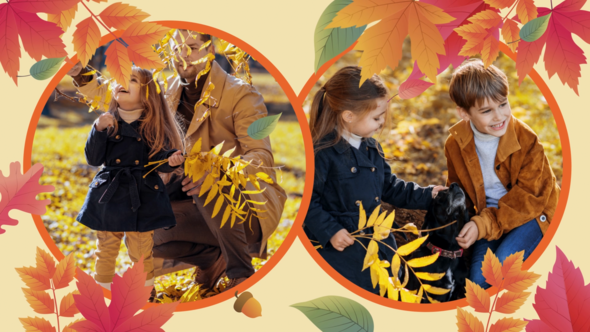 Videohive Autumn Fashion Sale Promo 47811886 Product Promo template preview