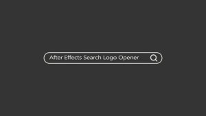 Videohive Search Logo Reveal 20944876 Logo Stings template preview