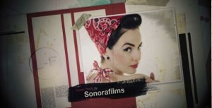 Videohive Sonomatic Openers template preview