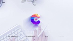 Videohive Logo Reveal V.01 Logo Stings template preview