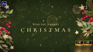 Videohive New Year Wishes | New Year Greetings V3 Openers template preview