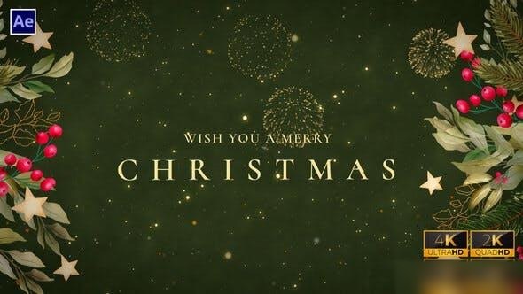 Videohive New Year Wishes | New Year Greetings V3 Openers template preview