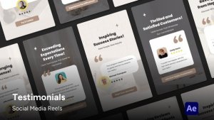 Videohive Social Media Reels - Review Testimonials After Effects Template Product Promo template preview