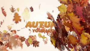 Videohive Autumn Logo Reveal 59741374 Logo Stings template preview
