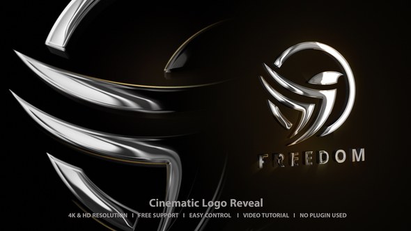 Videohive Logo Intro 48114923 Logo Stings template preview