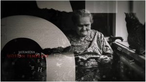 Videohive Torn History Opener Openers template preview