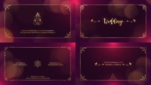 Videohive Indian Wedding Invitation 58918017 Openers template preview