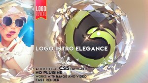 Videohive Logo Intro Elegance Logo Stings template preview