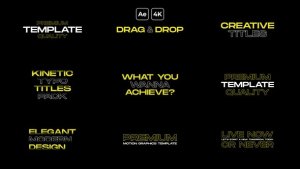 Videohive Animated Text Titles | After Effects 51888345 Titles template preview