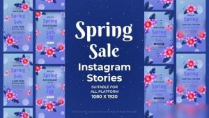 Videohive Spring Sale Instagram Stories 57365695 Openers template preview