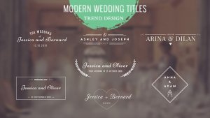 Wedding Titles Video Displays template preview