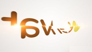 Videohive Flipping Parts Logo Logo Stings template preview