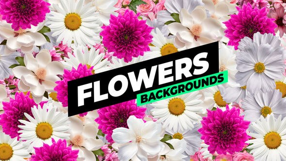 Videohive Flowers Backgrounds Elements template preview
