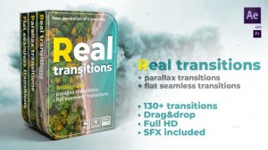 Real transitions Video Displays template preview