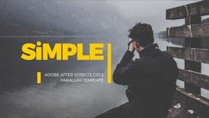Simple Parallax Photo Gallery | v.3 Video Displays template preview