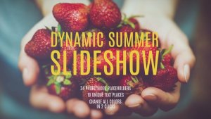 Videohive Dynamic Summer Slideshow Video Displays template preview