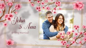 Videohive Wedding Invitation 48420231 Video Displays template preview