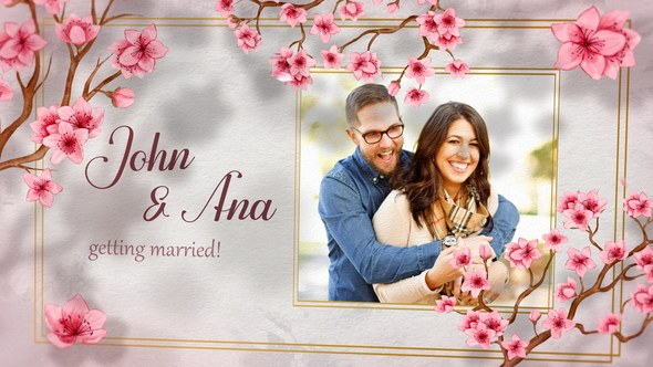 Videohive Wedding Invitation 48420231 Video Displays template preview