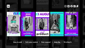 Videohive Trendy Instagram Stories 42424105 Product Promo template preview