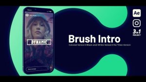 Videohive Brush Intro Vertical Openers template preview