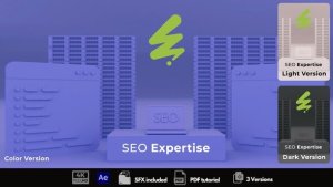 Videohive SEO Experts Intro Logo Stings template preview