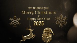Videohive Merry Christmas Wishes 55415939 Openers template preview