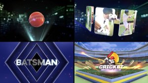 Videohive Cricket Bumper 2 Logo Stings template preview