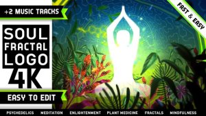 Videohive Psychedelic Fractals Logo Logo Stings template preview