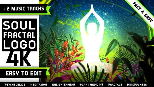 Videohive Psychedelic Fractals Logo Logo Stings template preview