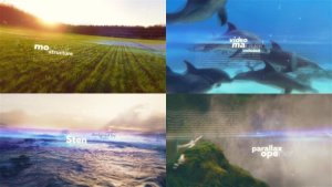 Videohive Parallax Video Displays template preview