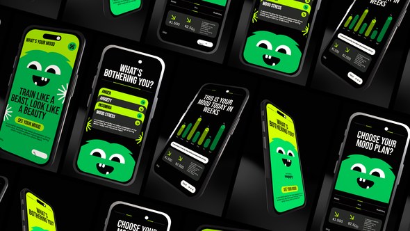 Videohive 3D Phone Mockup Elements template preview
