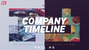 Videohive Company Timeline 37356134 Titles template preview