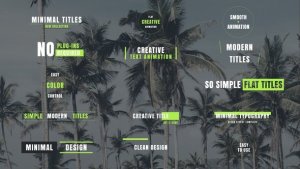 Videohive Simple Flat Titles Titles template preview