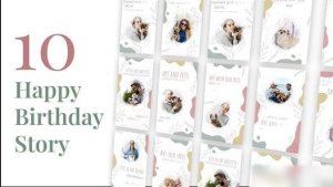 Videohive Pets Instagram Story Pack Video Displays template preview