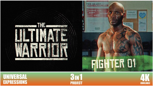 Videohive Promo Fight Openers template preview