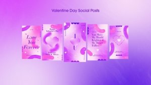 Videohive Valentine Day Social Posts Video Displays template preview