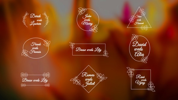 Videohive Wedding Titles | AE Elements template preview