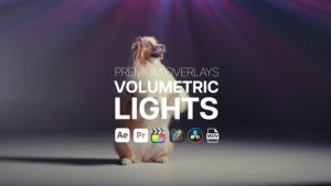 Videohive Premium Overlays Volumentric Lights Elements template preview