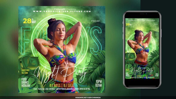 Videohive Night Club Flyer Stories v17 Openers template preview
