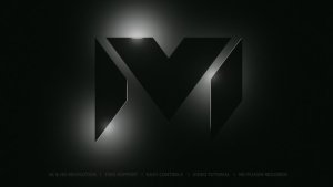 Videohive Logo Reveal 50219865 Logo Stings template preview