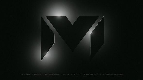 Videohive Logo Reveal 50219865 Logo Stings template preview