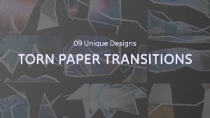 Videohive Torn Paper Cut Transitions Elements template preview