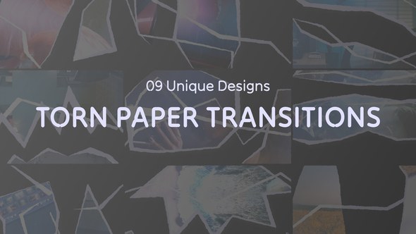 Videohive Torn Paper Cut Transitions Elements template preview