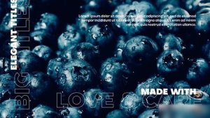 Videohive Big Titles | Essential Typography V.02 Titles template preview