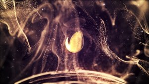 Videohive Gold Abstract Titles Titles template preview