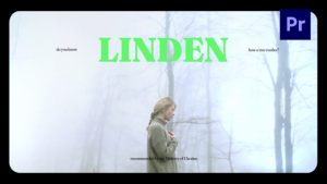 Cinematic Vibes Typography / Pr Premiere Pro template preview
