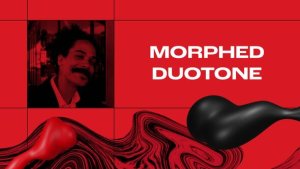 Videohive Morphed Duotone Frames Video Displays template preview