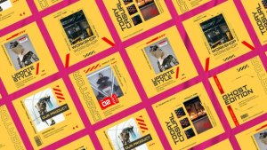 Videohive Dusction Product Trend Instagram Posts Product Promo template preview